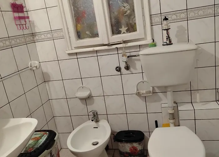 Kalis 贝尔格莱德